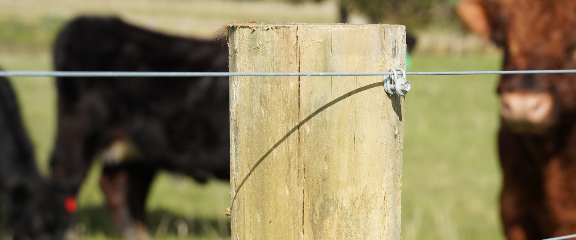 Build your fences quicker, easier, stronger & longer lasting with <u>Davo’s Fencing Clip</u>.