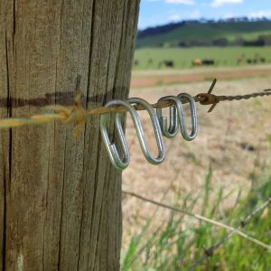 1 Clips on Barbed wire-P45